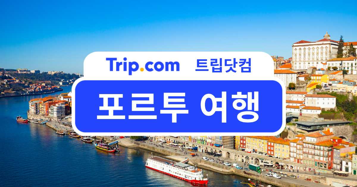 포르투 여행 3박 4일 일정 및 여행 꿀팁 총정리
