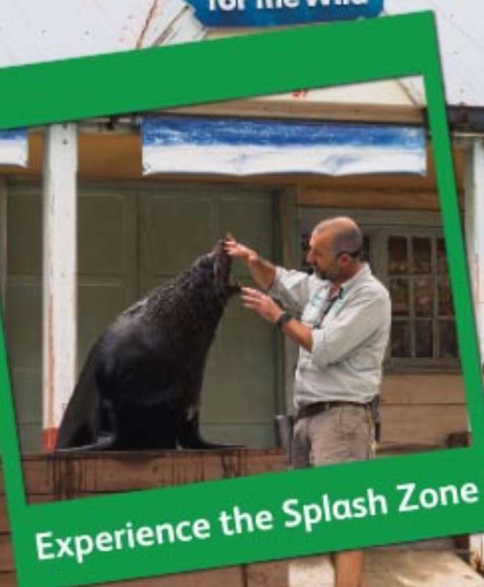 Top Things to Do at Taronga Zoo Sydney