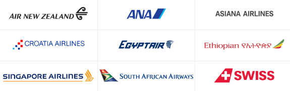 스타얼라이언스 항공사