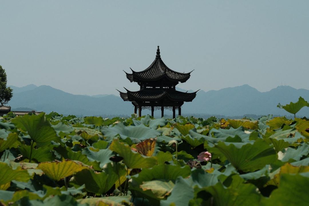 A large field with a pagoda in the middle of it Via Unsplash (by Dominic Kurniawan Suryaputra)