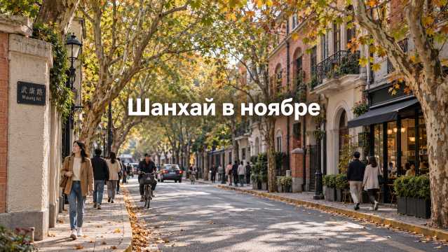 Шанхай в ноябре 2026: +18 °C и сезон прогулок | Trip.com