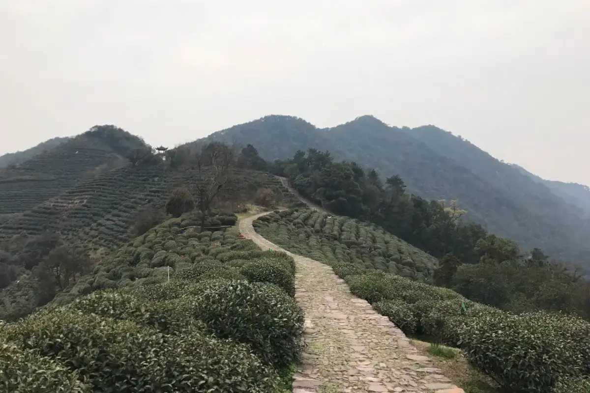 Meijiawu Tea Village