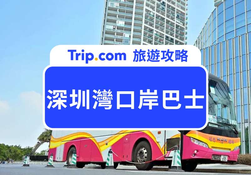 深圳灣口岸巴士