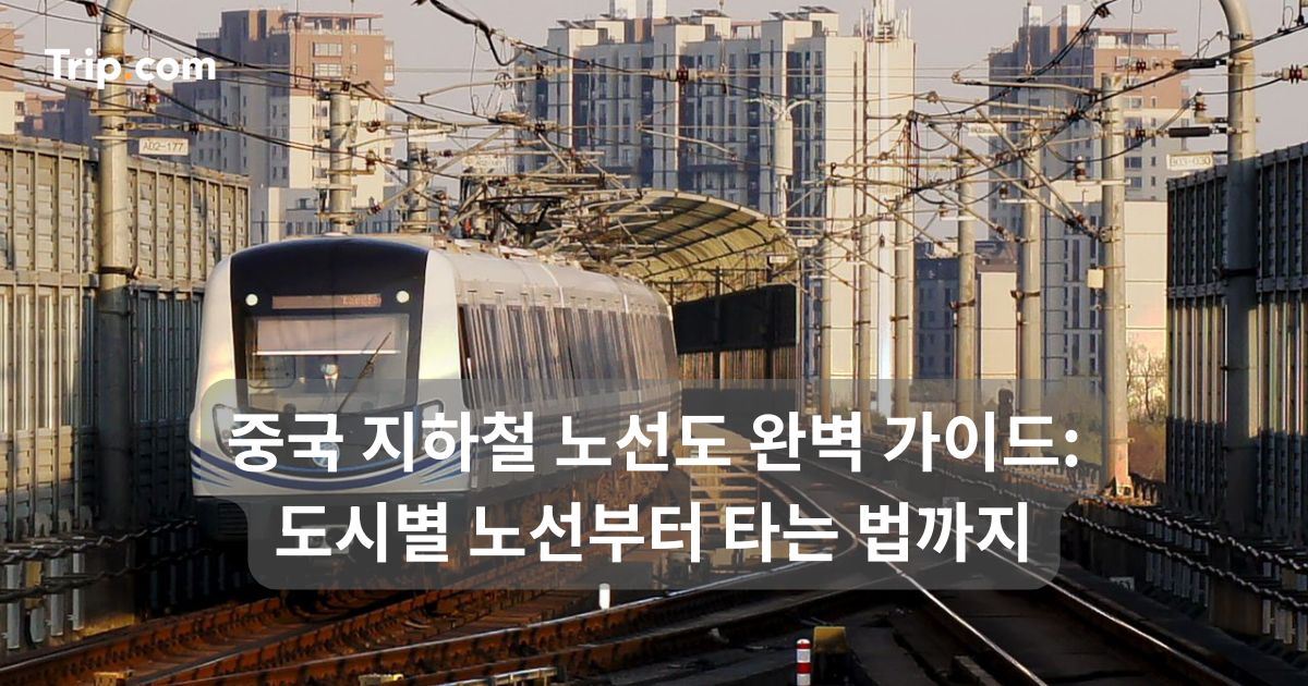 중국 지하철 노선도 가이드: 도시별 노선부터 타는 법까지 | 트립닷컴