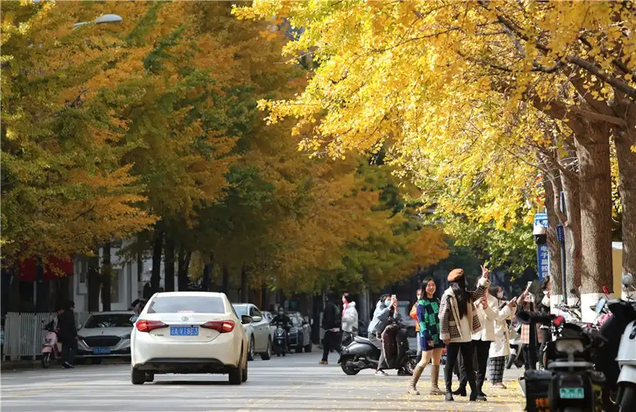Tips Berwisata ke Kunming Saat Hari Libur Nasional