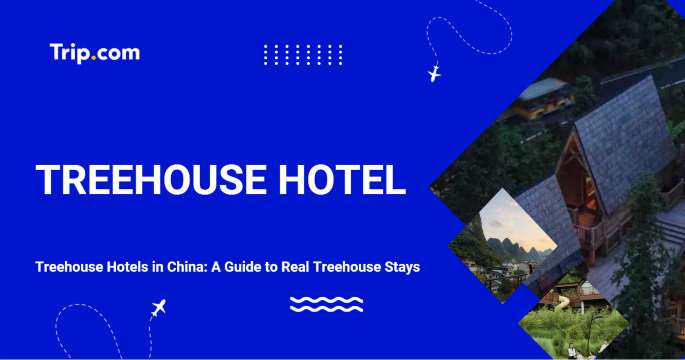 Treehouse Hotel