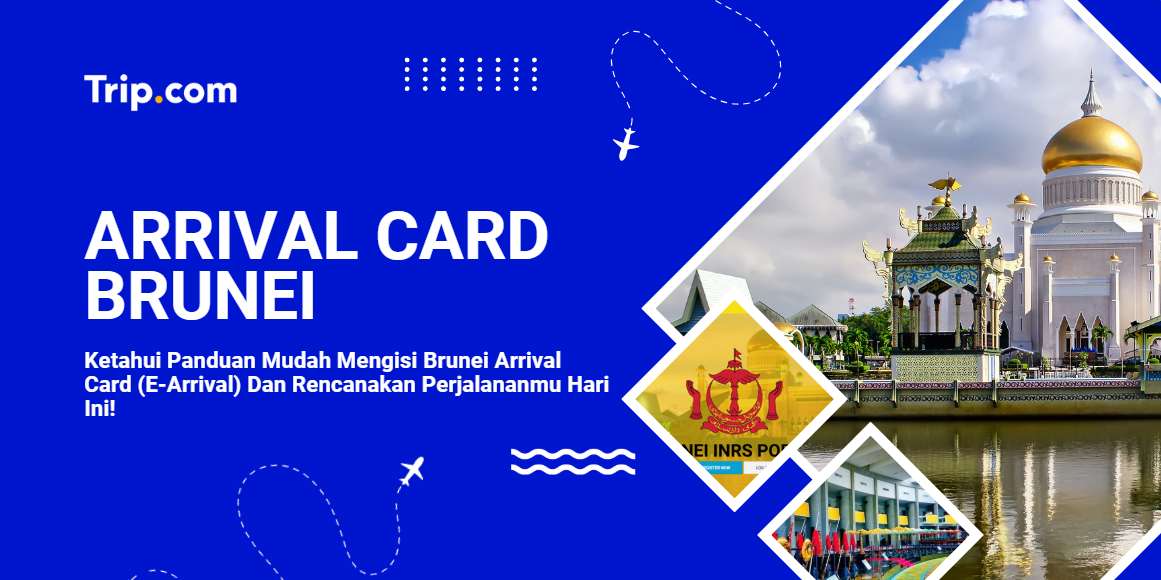 Brunei Arrival card