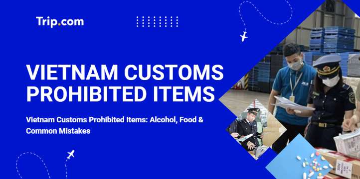 Vietnam Customs Prohibited Items