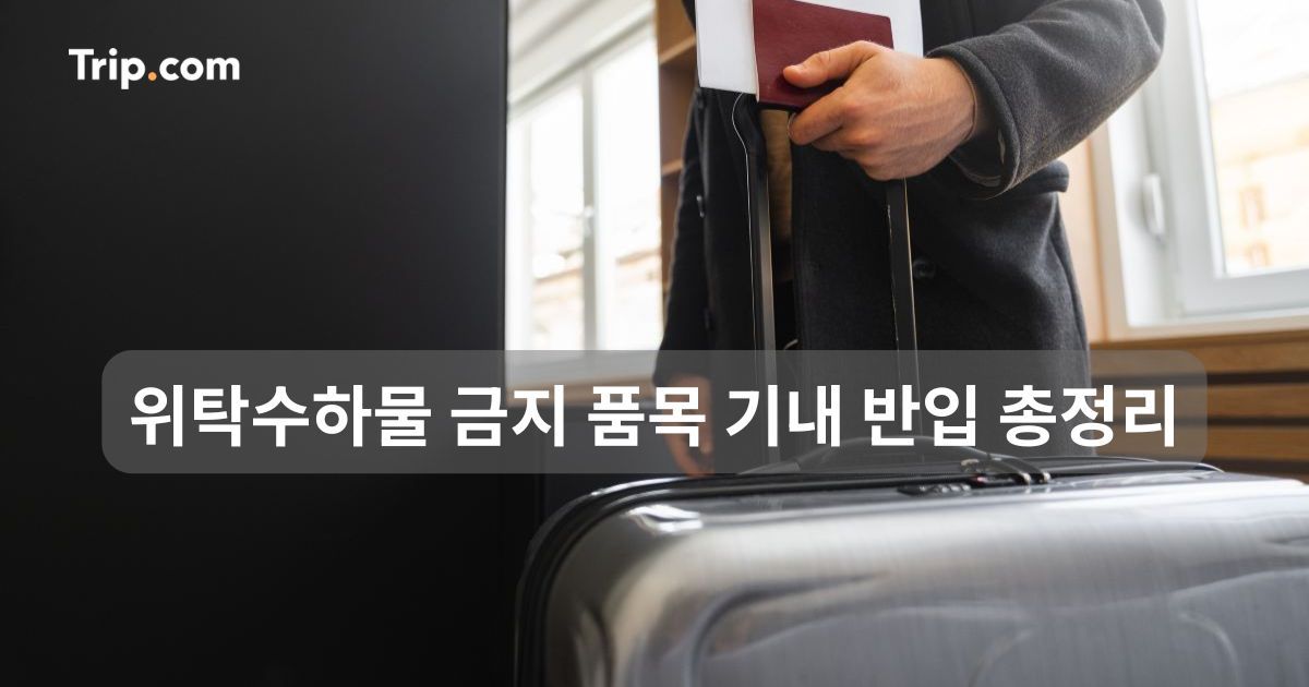 위탁수하물 금지 품목 기내 반입 총정리 | 트립닷컴