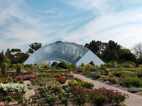 Adelaide Botanic Garden