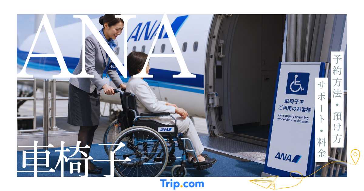 ANAで車椅子は利用できる？予約方法・預け方・サポートサービス・料金を解説
