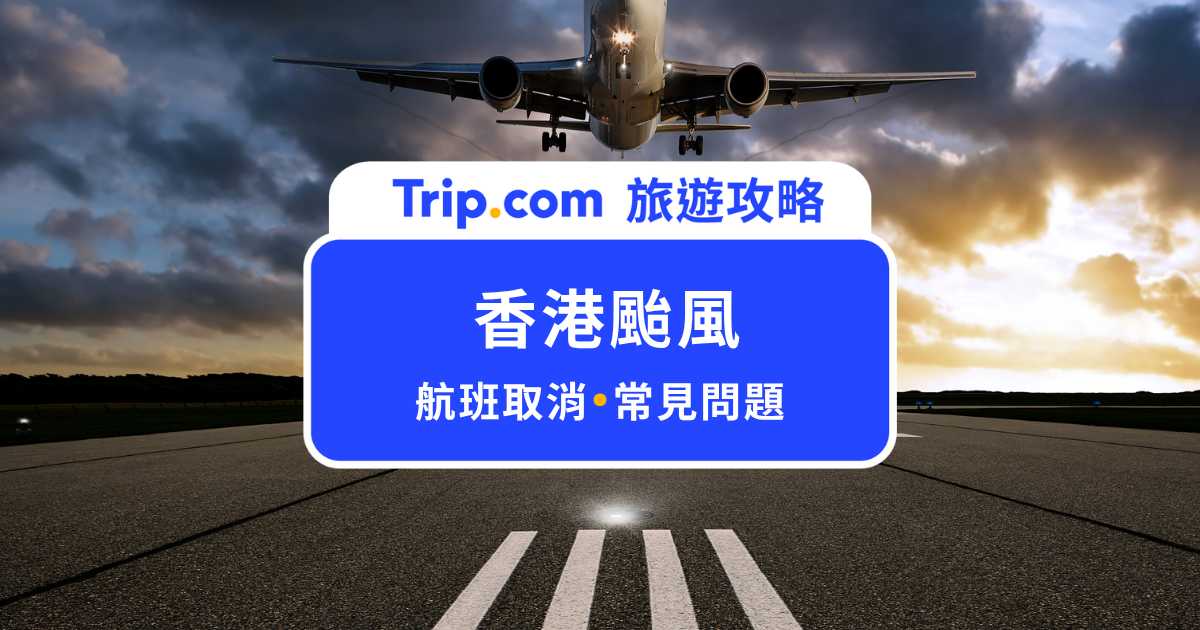 香港颱風：旅遊前必看！風球制度、航班取消應對攻略