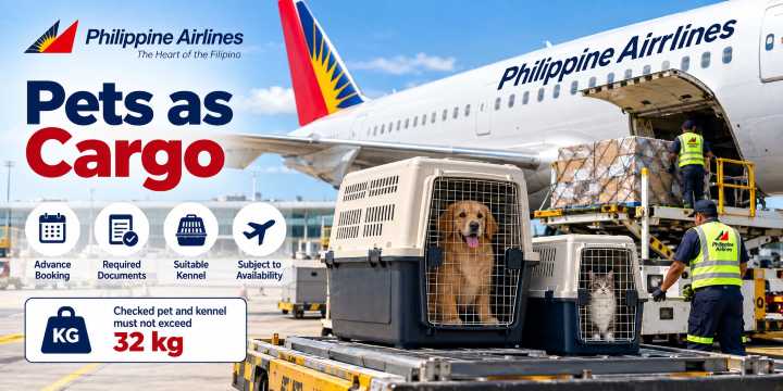 Sending Pets Through Philippine Airlines Cargo