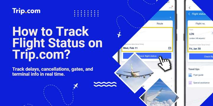 How to Track Flight Status on Trip.com? Free Live Tracker & Real-Time Updates | Trip.com