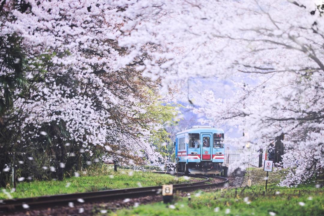 blue and white train on rail tracks near trees during daytime Via Unsplash (by KOTA HAMORI)