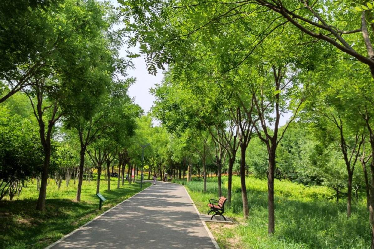 Yuexiu Park
