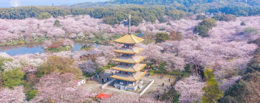 Wuhan Travel Guide: Where to Stay, What to Do & Transport Tips