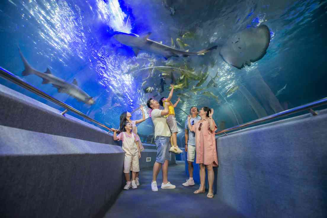 The Sea Shell — океанариум Фукуока