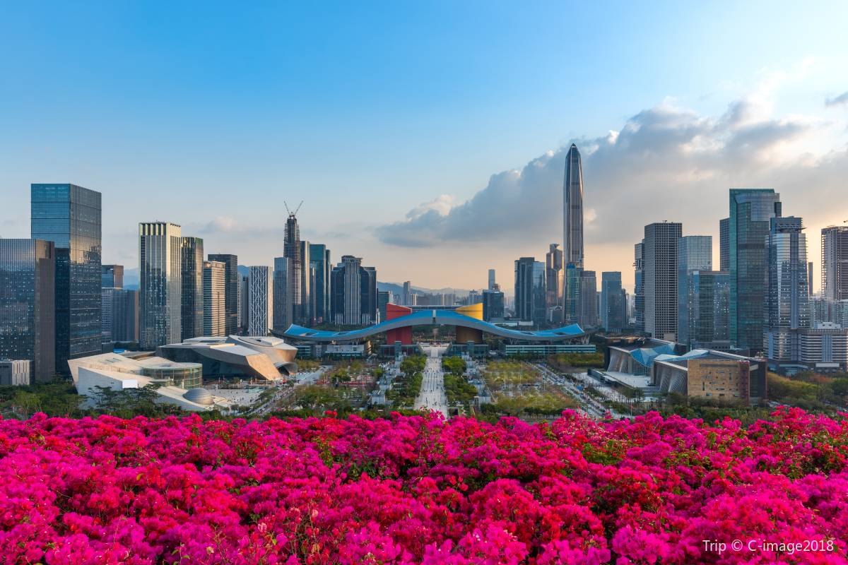 8. Celebrate the Beauty of Nature at Shenzhen Lianhuashan Park 🌼