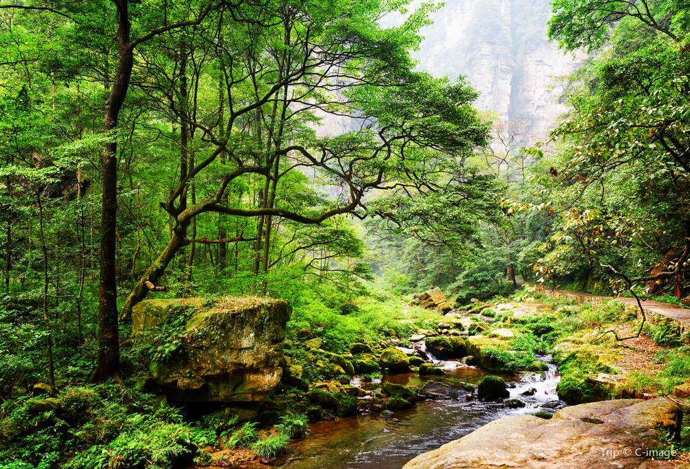 園内の移動手段