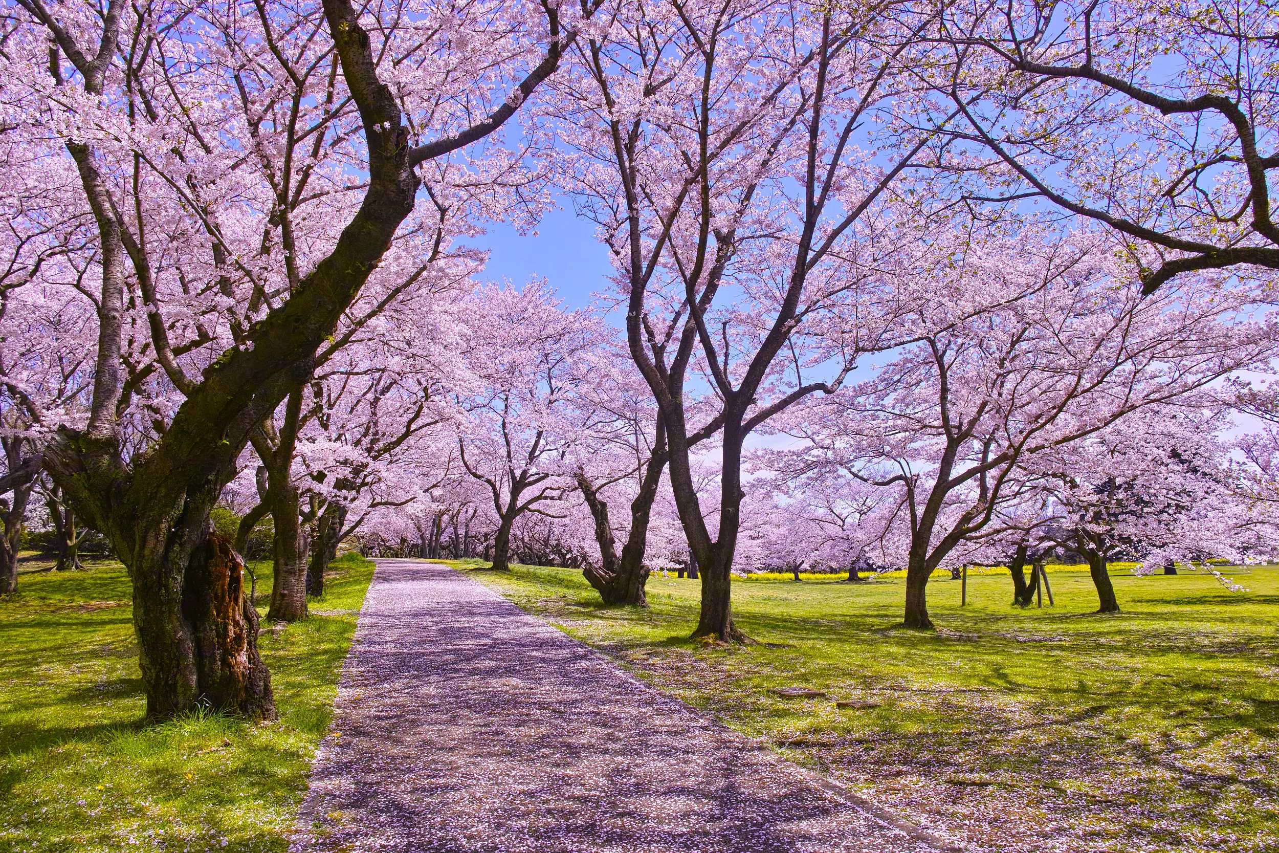 Finde mehr Hotels für deinen Reisestil