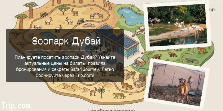 Зоопарк Дубай: Полный Гид и Актуальные Цены | Trip.com