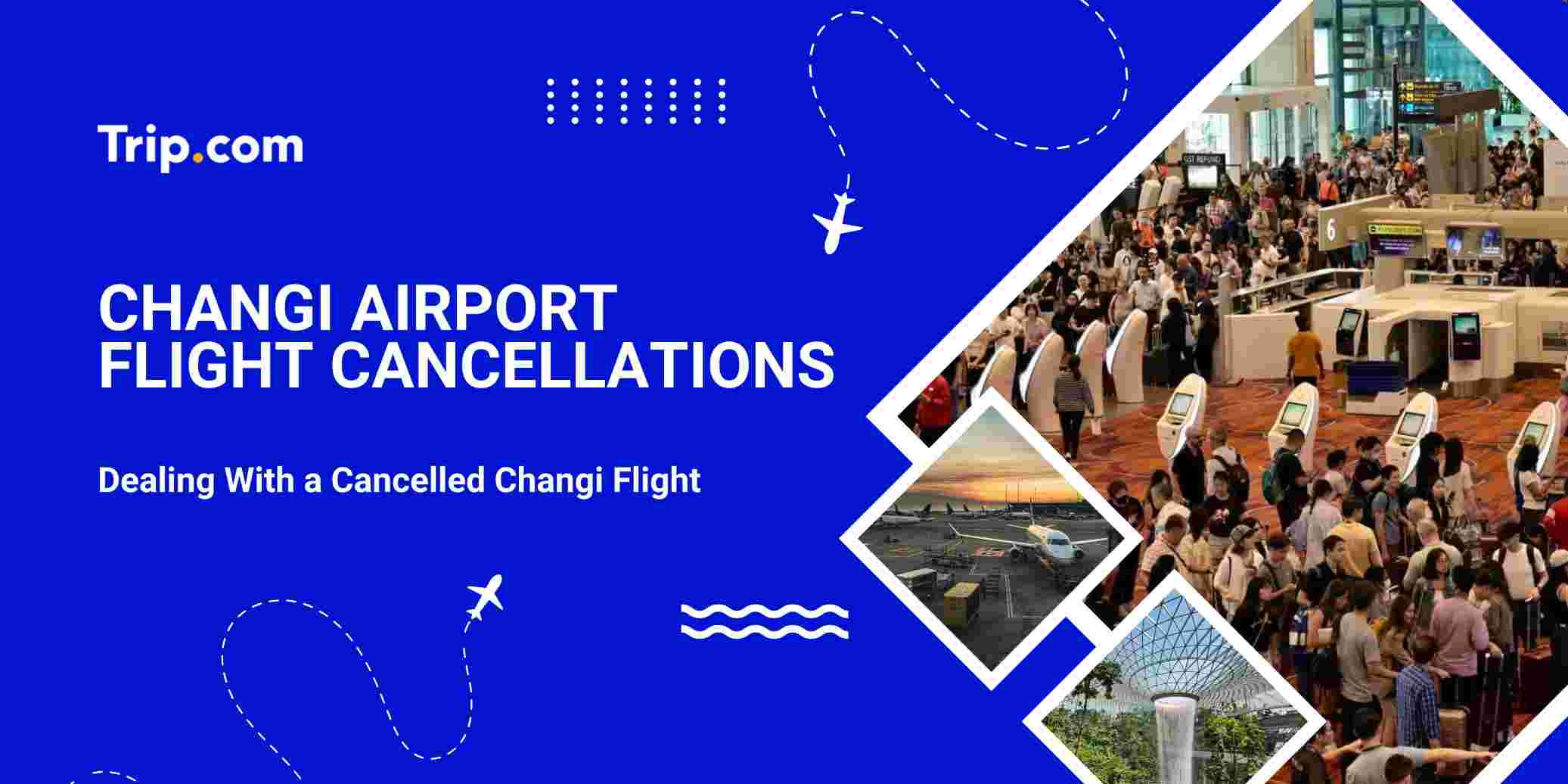 Changi Airport Flight Cancellations