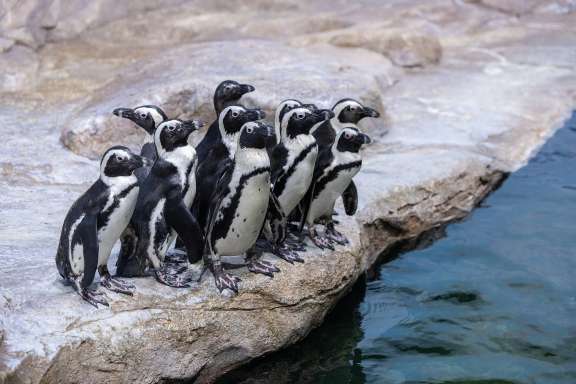 Куда сходить в Ханое