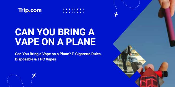 Can You Bring A Vape On A Plane Australia - Instagram