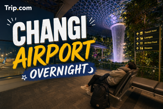 Changi Airport Overnight Guide: Everything You Need to Know for a Comfortable Layover | Trip.com