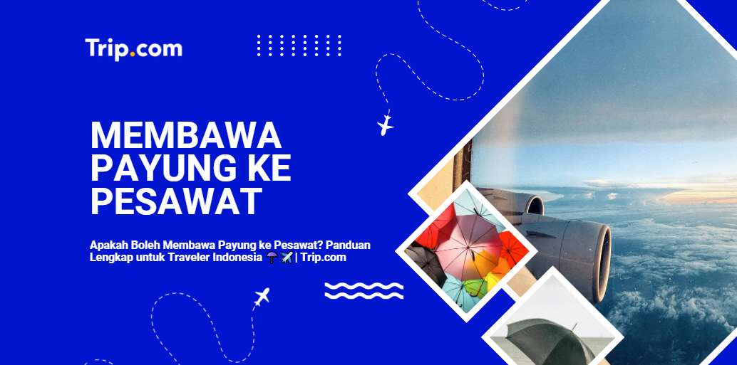 Apakah Boleh Membawa Payung ke Pesawat? Panduan Lengkap 2026