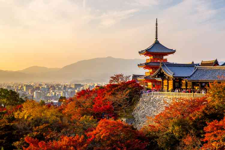 교토 | 일본 단풍 명소