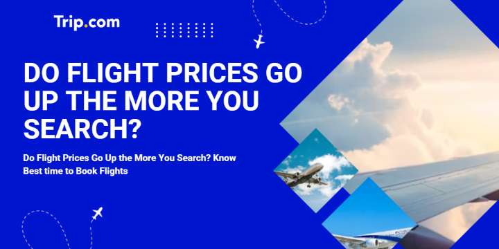 Do Flight Prices Go Up the More You Search? Know Best Time to Book Flights | Trip.com