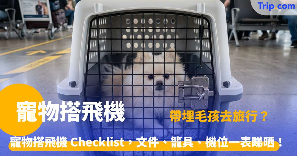 寵物搭飛機