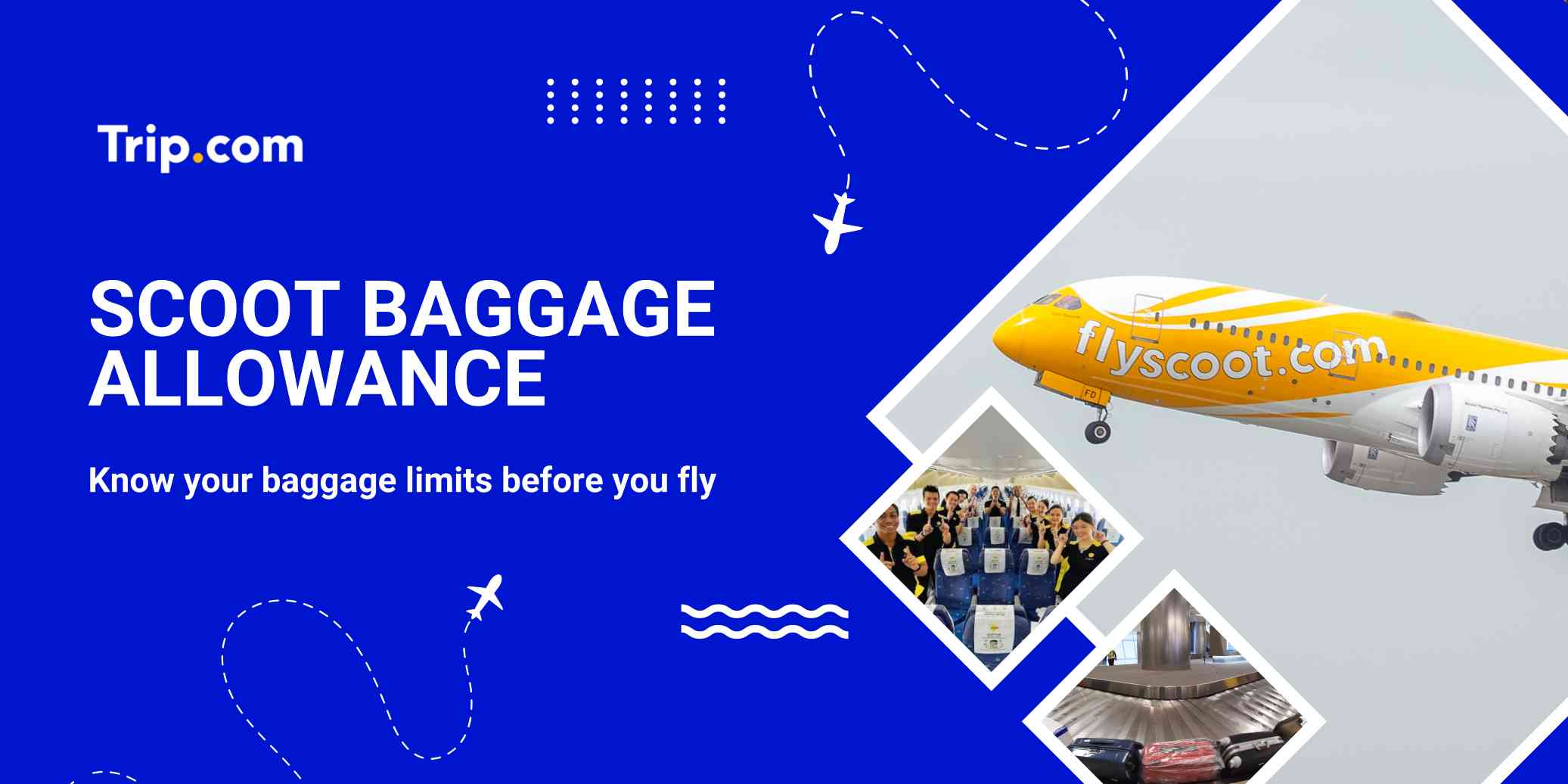 Scoot Baggage Allowance: Singapore Guide(2026) | Trip.com