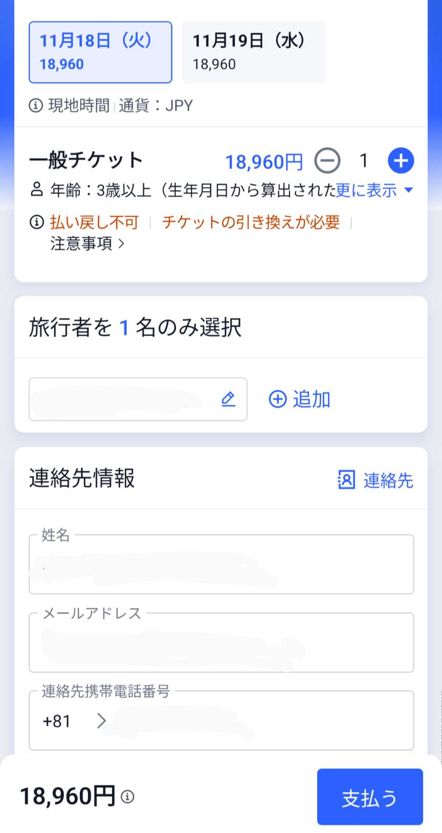 必要な情報を入力して、「支払い」をタップ