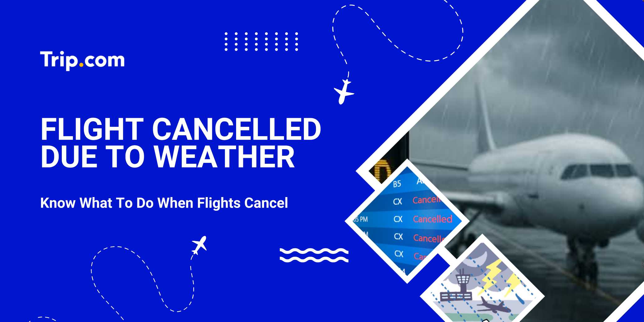 Flight Cancelled Due to Weather Guide: Passengers Right & What to Do | Trip.com