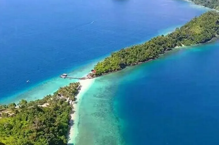 Losmen Carlos Homestay