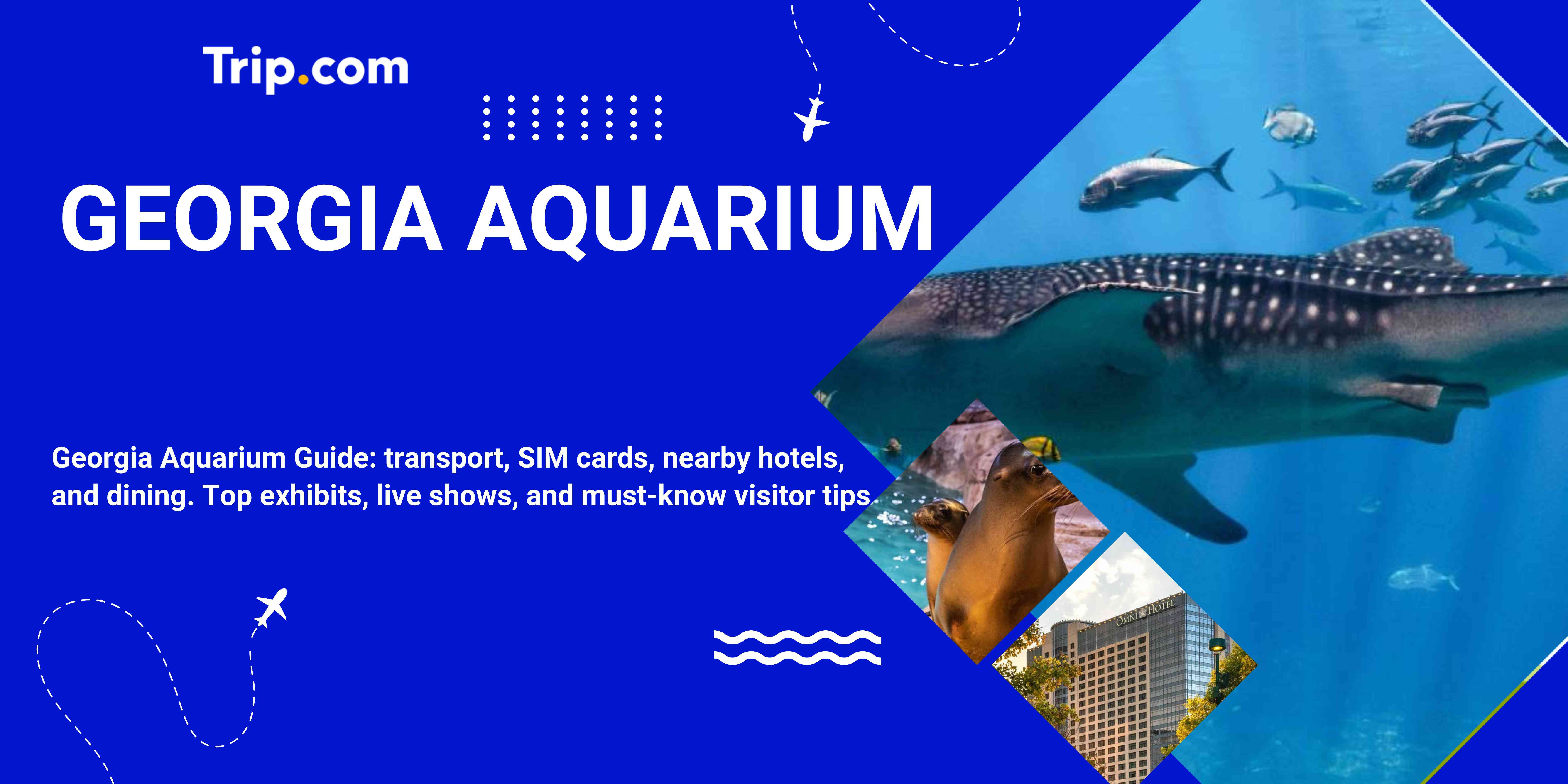 Best Way to Visit the Georgia Aquarium