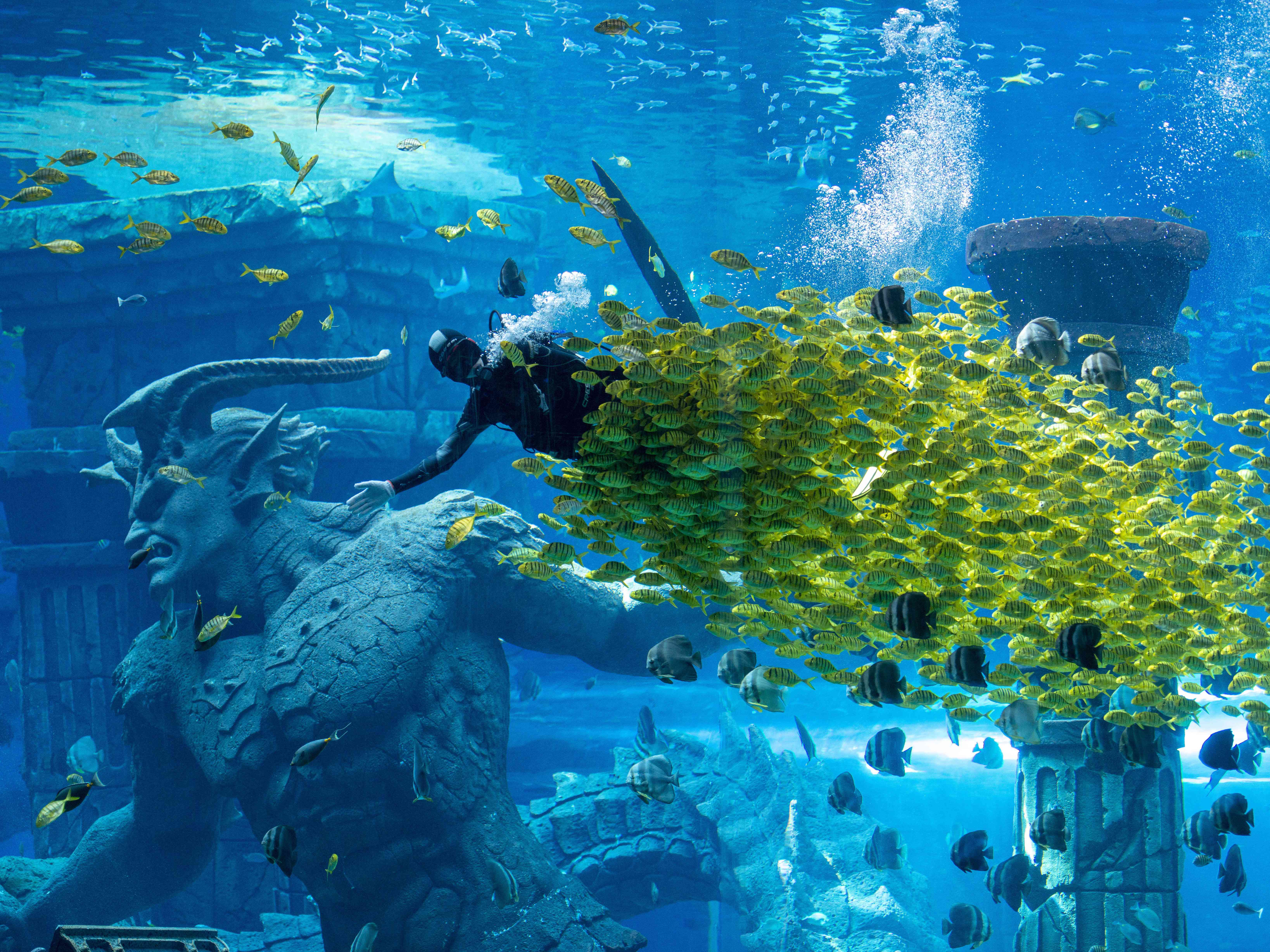 Аквапарк в Харбине зарыт или нет