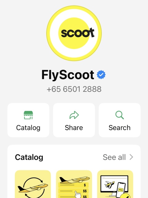 scoot contact whatsapp