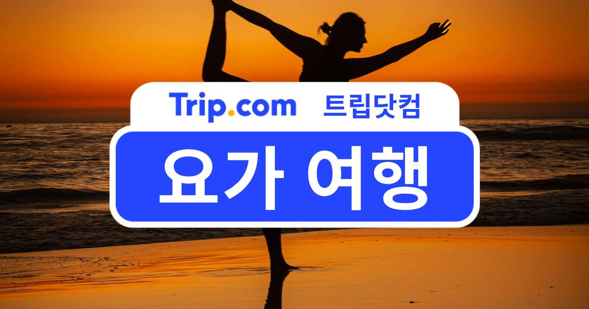 요가여행 총정리