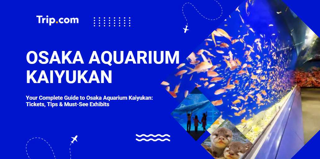 Osaka Aquarium Kaiyukan Guide: Tickets, Tips & Must-See Exhibits | Trip.com