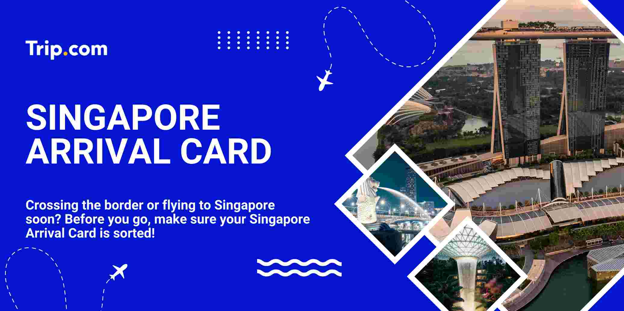 SG Arrival Card