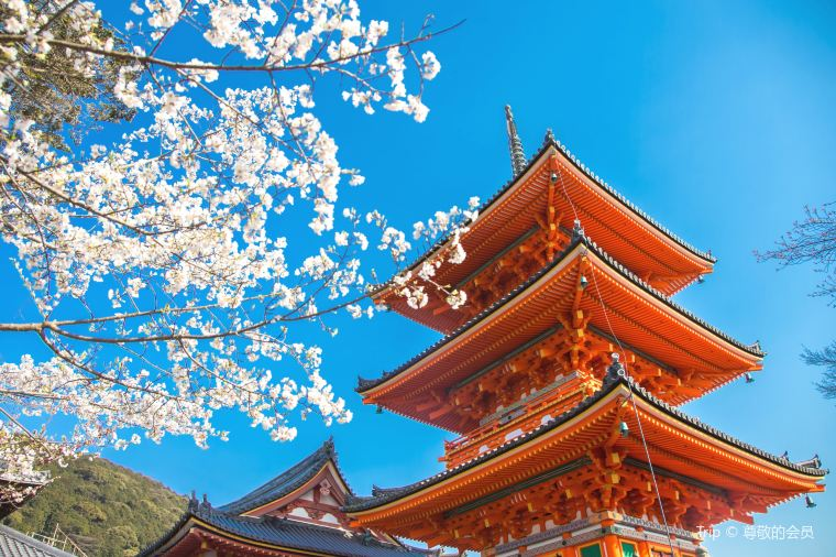 京都清水寺