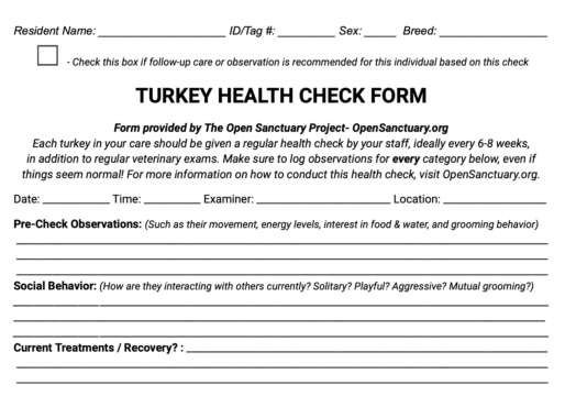 Turkiye Health Declaration