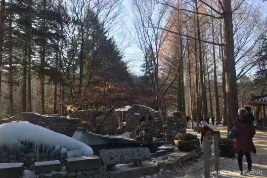 南怡島を効率よく楽しもう!