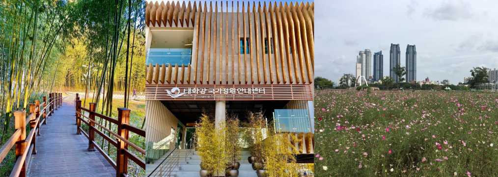 Bersantai di Taehwagang National Garden