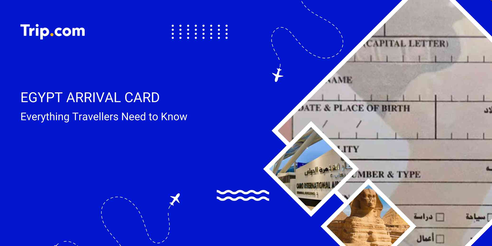 Egypt Arrival Card