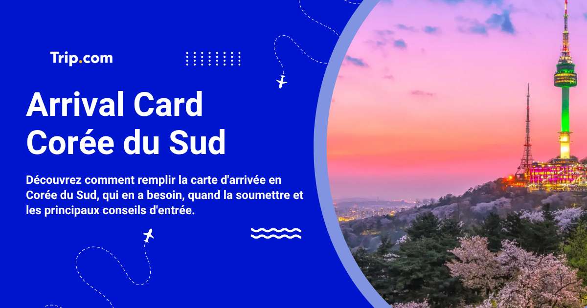 Arrival Card Corée du Sud : Quand et comment la remplir ?